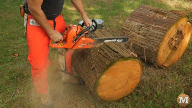 Cutting red cedar rounds to wood stove length