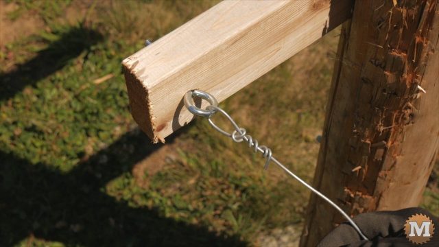 tying galvanized wire to ring bolts on raspberry trellis