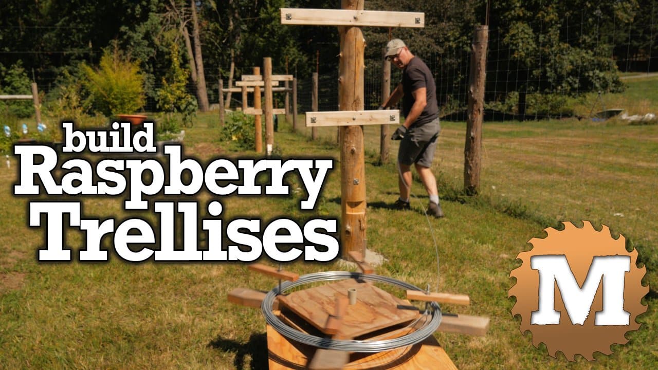 YouTube Thumbnail Build Raspberry Trellises - MAN about TOOLS