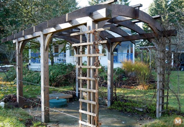 Aged Western Red Cedar Pergola with Sawn Curved Rafters