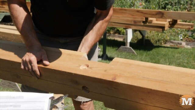 A greenhouse beam with dados and pilot holes