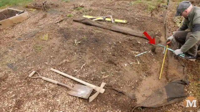the red arrow indicates the wooden stake holding a black poly water line in the garden